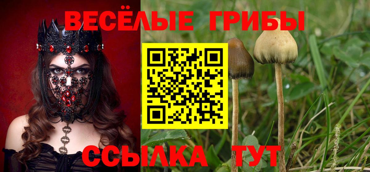 Галлюциногенные грибы ЛСД Усть-Джегута